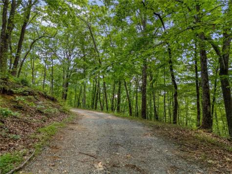 0 Jagger Run Blue Ridge GA 30513