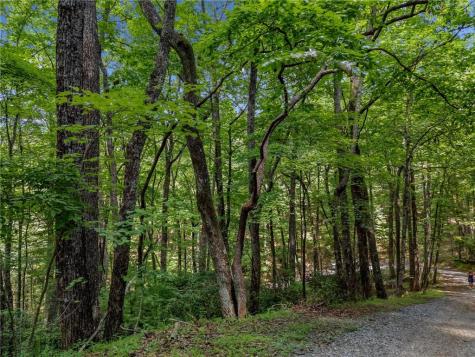 0 Jagger Run Blue Ridge GA 30513
