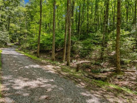 0 Jagger Run Blue Ridge GA 30513