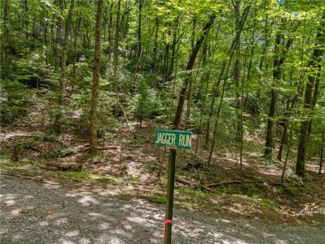 0 Jagger Run Blue Ridge GA 30513