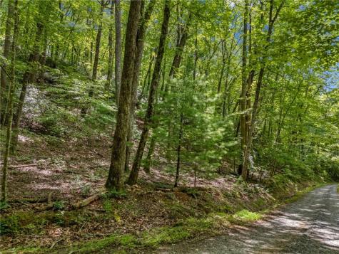 0 Jagger Run Blue Ridge GA 30513