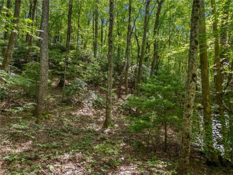 0 Jagger Run Blue Ridge GA 30513
