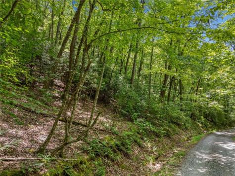0 Jagger Run Blue Ridge GA 30513