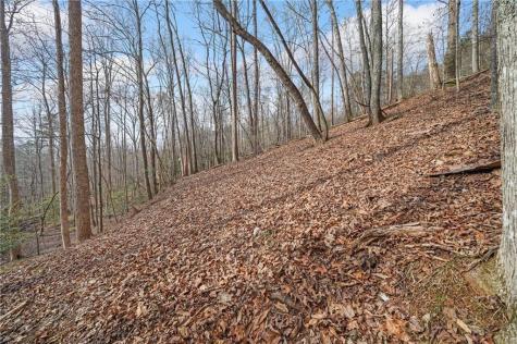 49 Old Stamp Mill Road Dahlonega GA 30533
