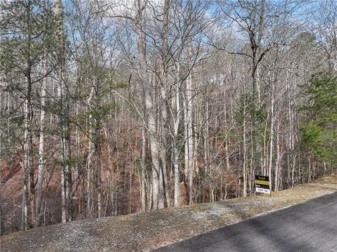 49 Old Stamp Mill Road Dahlonega GA 30533