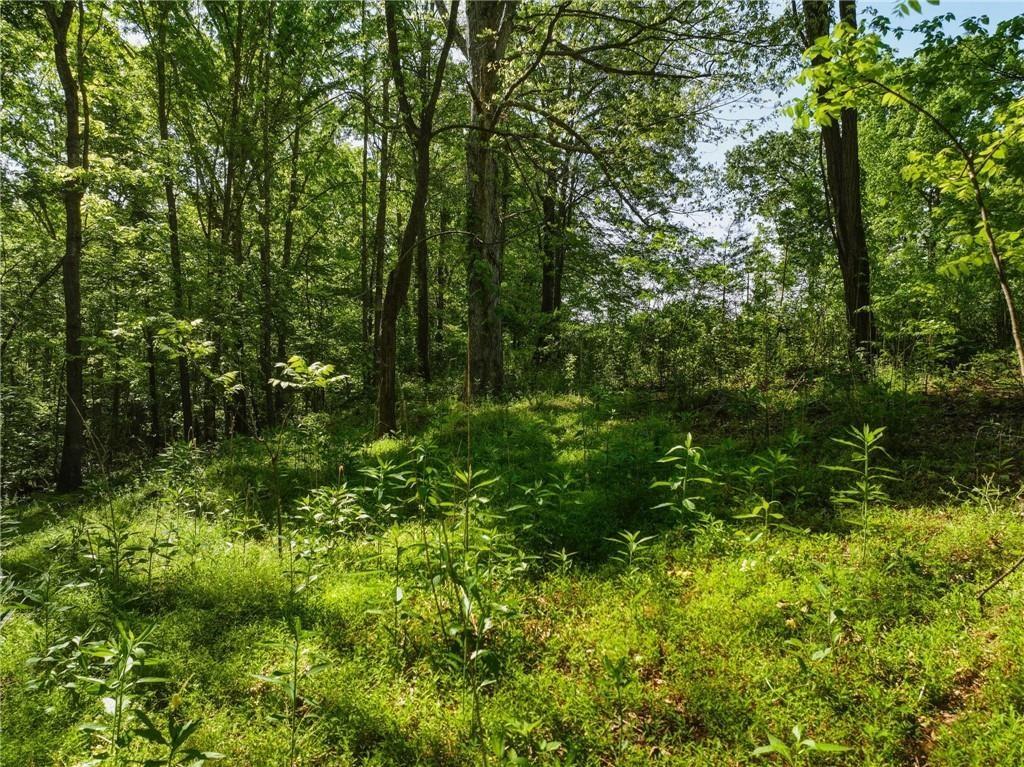 Lot 4 Summit Drive Dahlonega GA 30533