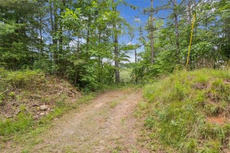 Lot 6 Riverfront Drive Ellijay GA 30536