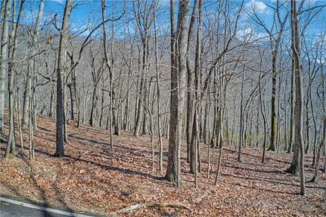 6354 Huckleberry Jasper GA 30143