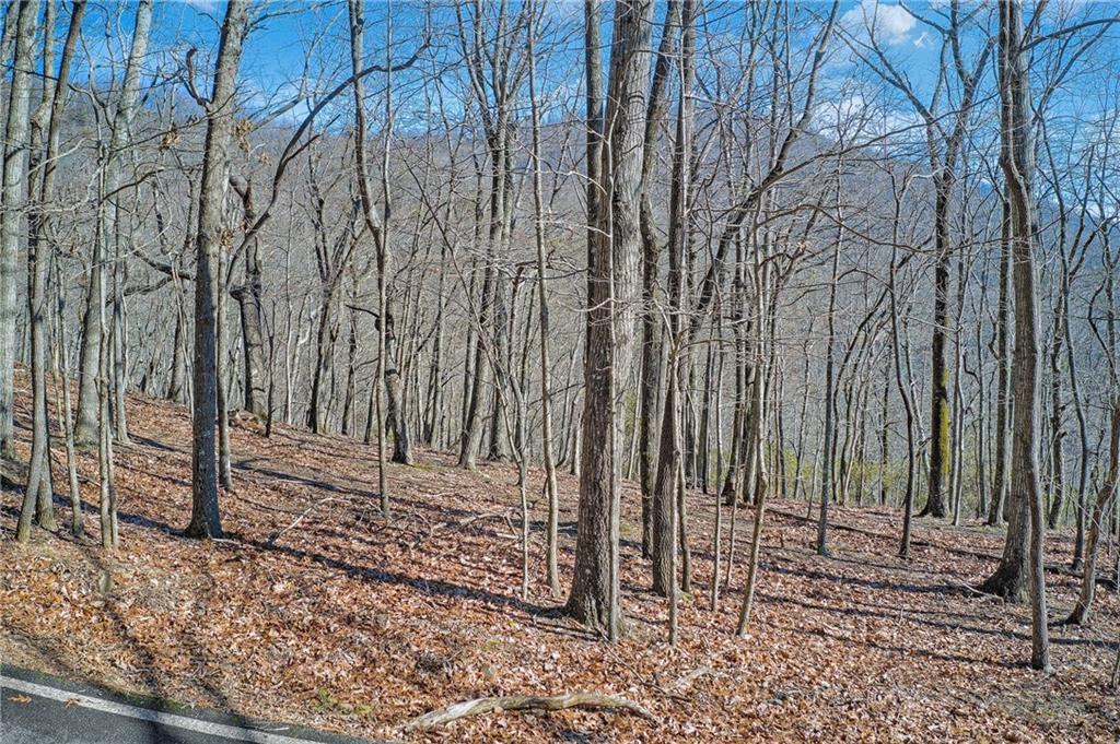 6354 Huckleberry Jasper GA 30143