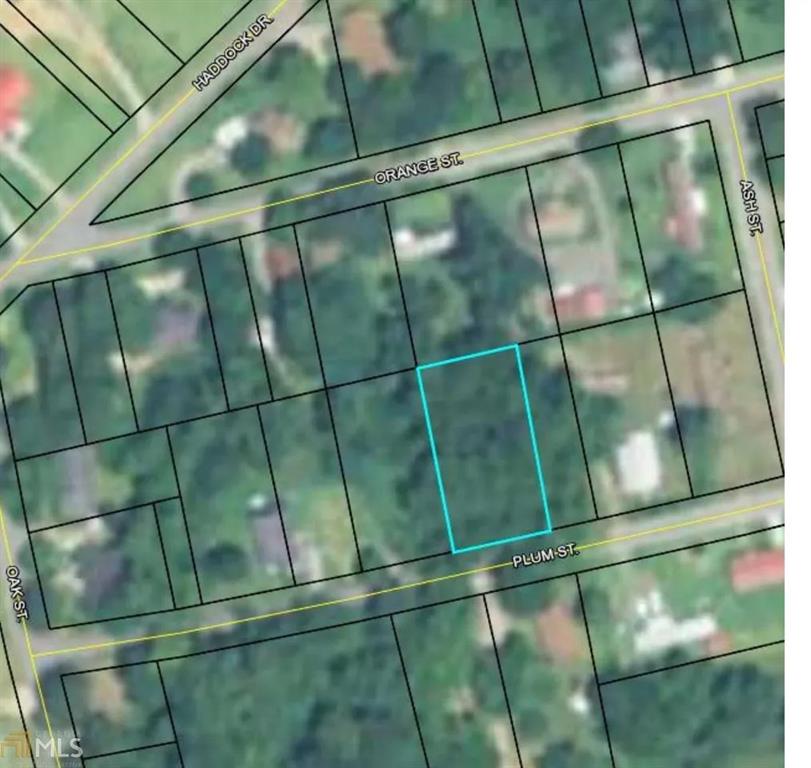 147 Plum Street Haddock GA 31032