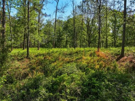 Lot 1 Summit Drive Dahlonega GA 30533