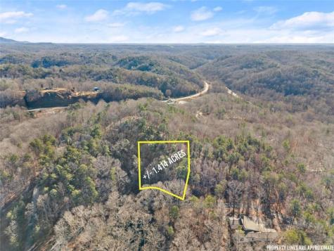 0 Golden Lot 3 Avenue Dahlonega GA 30533