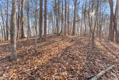 0 Golden Lot 3 Avenue Dahlonega GA 30533