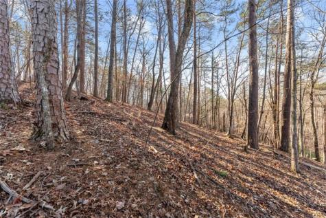 0 Golden Lot 3 Avenue Dahlonega GA 30533