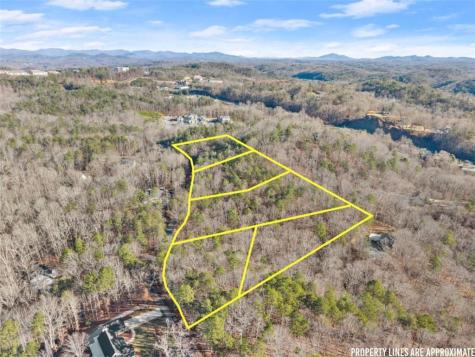 0 Golden Lot 3 Avenue Dahlonega GA 30533