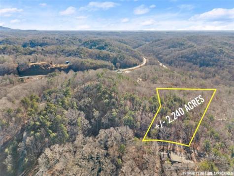 0 Golden Lot 3 Avenue Dahlonega GA 30533