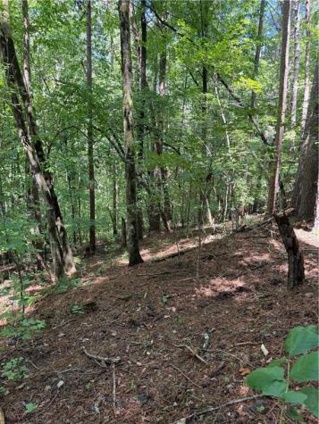 1707 Rebekah Ridge Road Talking Rock GA 30175