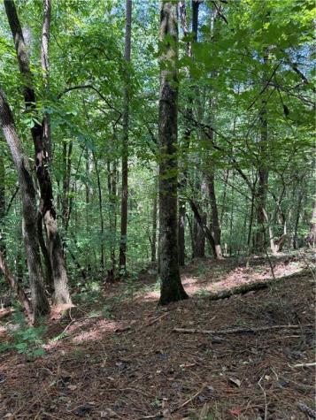 1707 Rebekah Ridge Road Talking Rock GA 30175