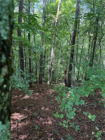 1707 Rebekah Ridge Road Talking Rock GA 30175