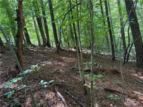 1707 Rebekah Ridge Road Talking Rock GA 30175