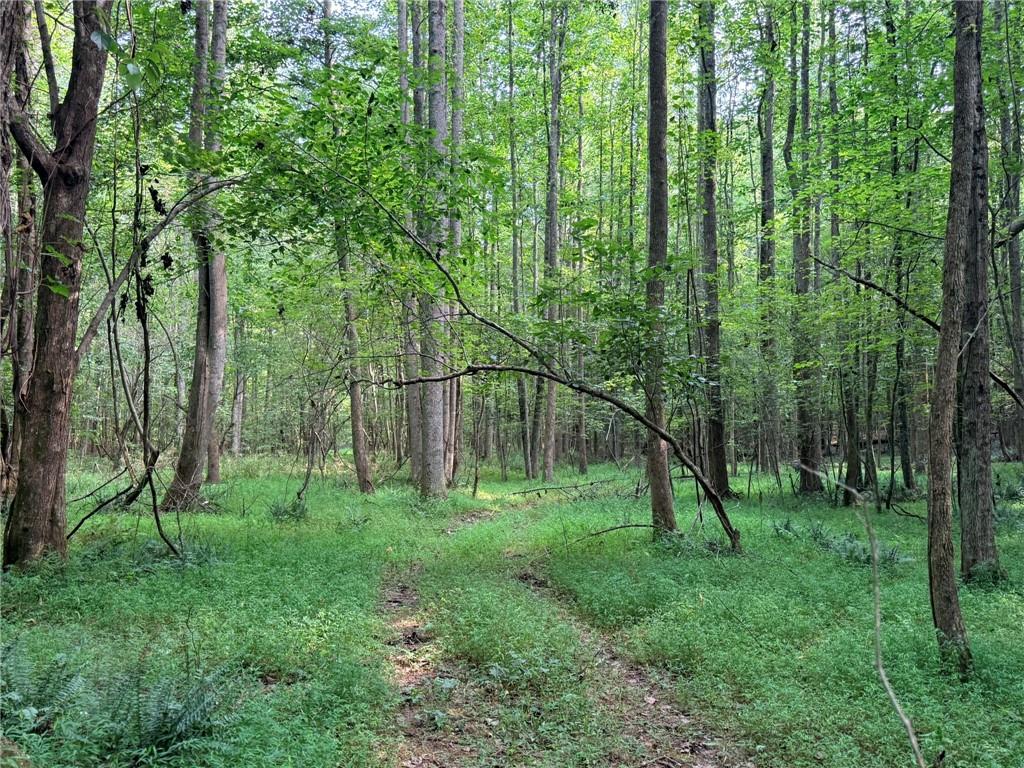Lot 4 Pettit Road Jasper GA 30143