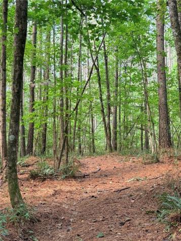Lot 4 Pettit Road Jasper GA 30143