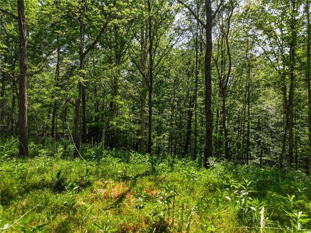 Lot 2 Summit Drive Dahlonega GA 30533