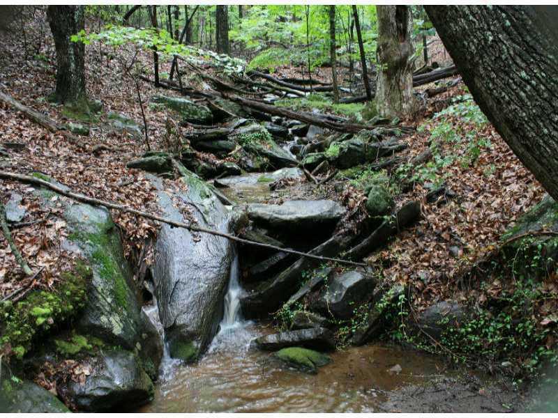 1108 Oglethorpe Mountain Road Jasper GA 30143