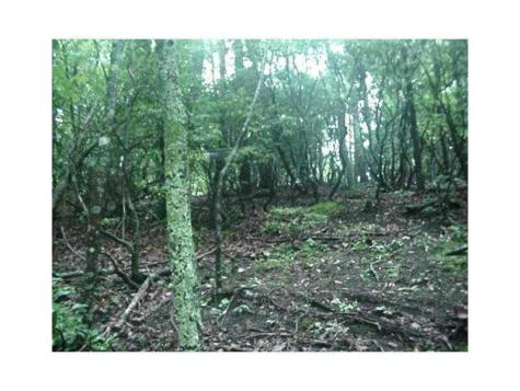 1108 Oglethorpe Mountain Road Jasper GA 30143