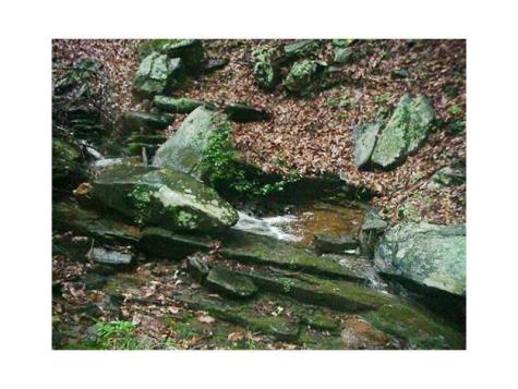 1108 Oglethorpe Mountain Road Jasper GA 30143