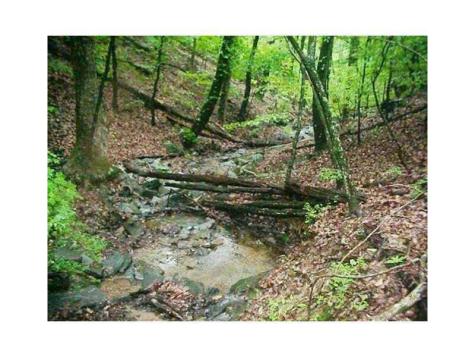 1108 Oglethorpe Mountain Road Jasper GA 30143