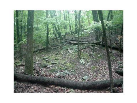 1108 Oglethorpe Mountain Road Jasper GA 30143