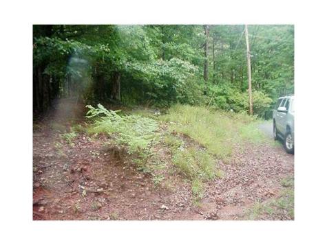 1108 Oglethorpe Mountain Road Jasper GA 30143