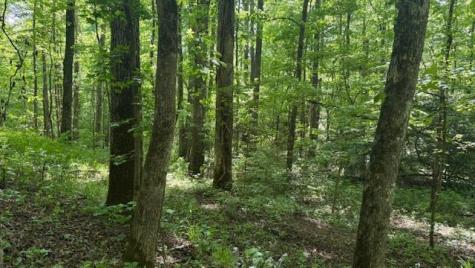 01 Highway 136 West Talking Rock GA 30175