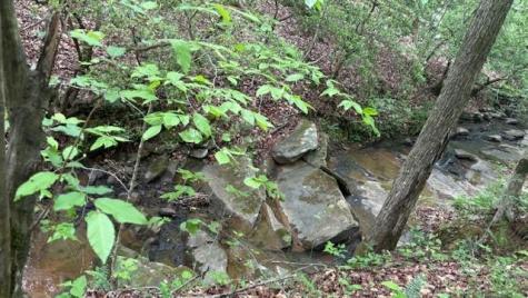 01 Highway 136 West Talking Rock GA 30175