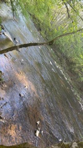 01 Highway 136 West Talking Rock GA 30175