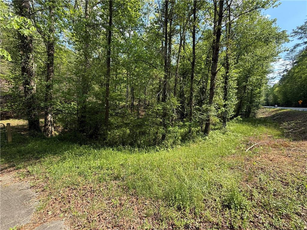 00 Highway 19 N Dahlonega GA 30533