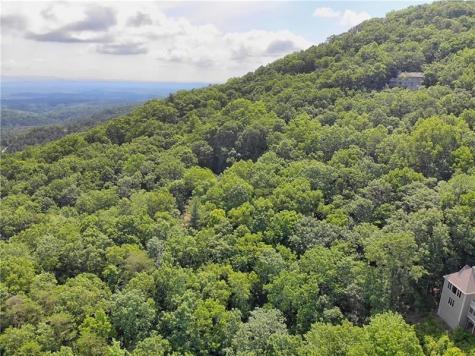 3023 Wild Turkey Bluff Big Canoe GA 30143