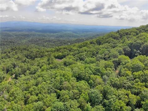 3023 Wild Turkey Bluff Big Canoe GA 30143