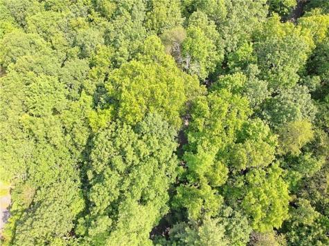 3023 Wild Turkey Bluff Big Canoe GA 30143