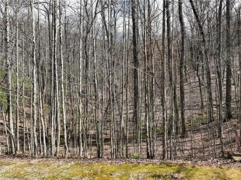 63 St Andrews Way Ellijay GA 30536