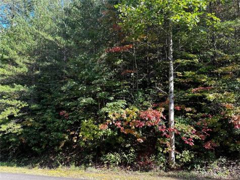 63 St Andrews Way Ellijay GA 30536