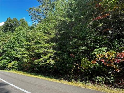 63 St Andrews Way Ellijay GA 30536