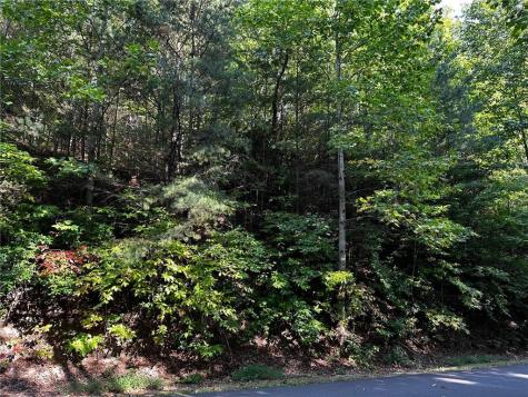 63 St Andrews Way Ellijay GA 30536