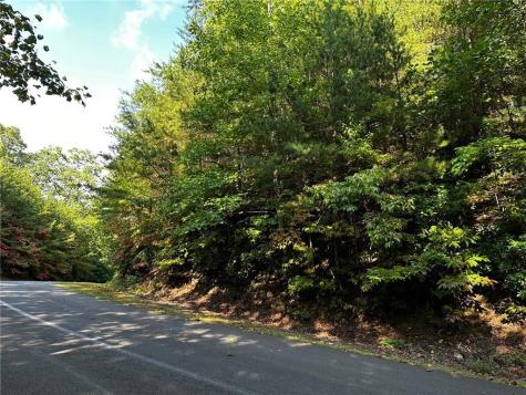 63 St Andrews Way Ellijay GA 30536