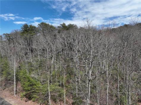 63 St Andrews Way Ellijay GA 30536