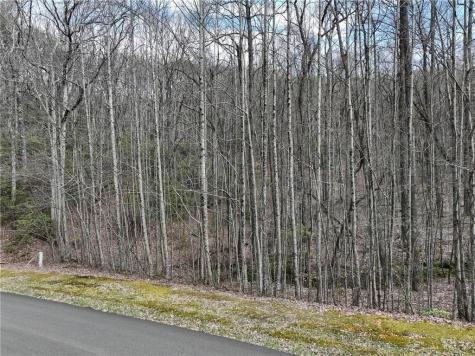 63 St Andrews Way Ellijay GA 30536