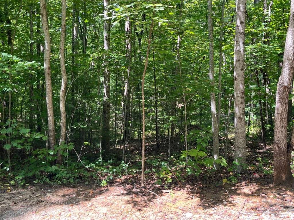 Lot 7 Forest Canopy Way Clayton GA 30525