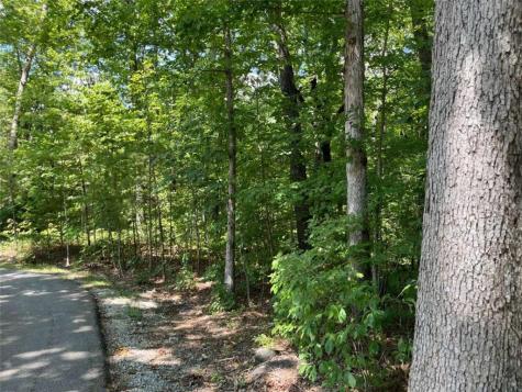 Lot 7 Forest Canopy Way Clayton GA 30525