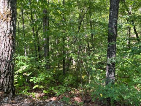 Lot 7 Forest Canopy Way Clayton GA 30525